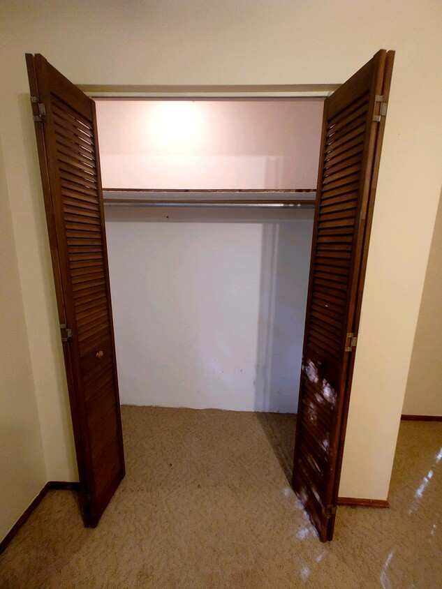 Bedroom closet - 667 Jefferson Ave