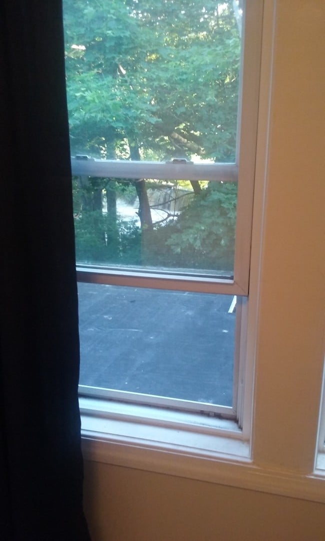 View of waterfall from bedroom window - 182 Colburn St