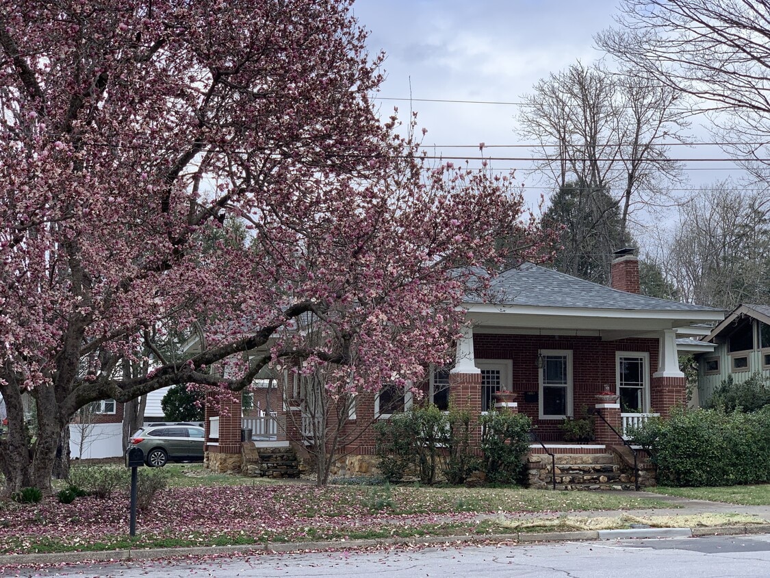 Photo - 218 W Main St (Brevard, NC)