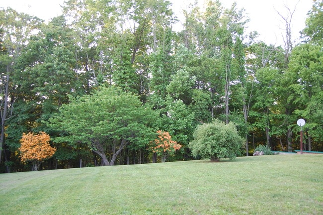 Building Photo - Large Partially Furnished 4/2.5 in Beautif...