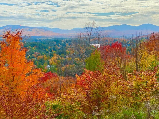 Foto del edificio - 63 Palisade Park Way