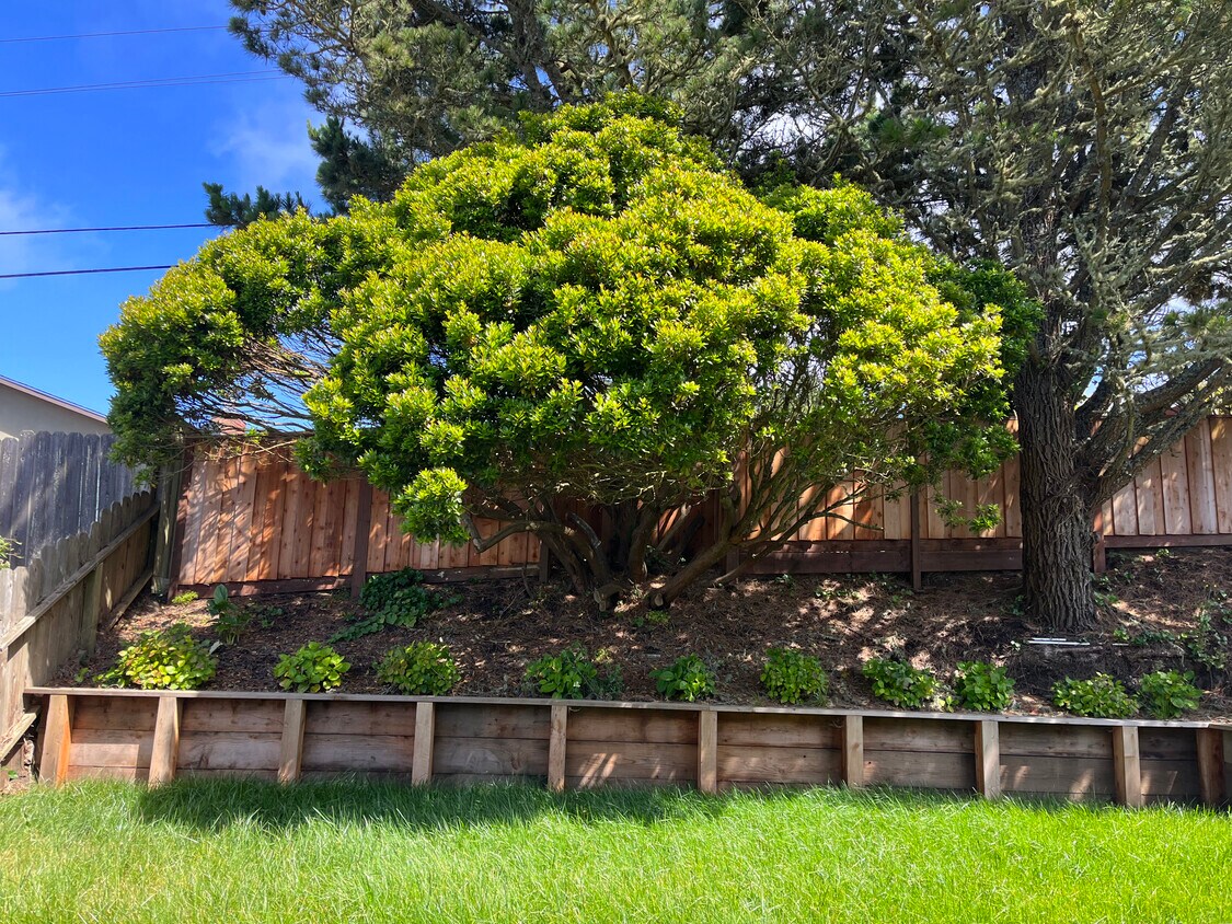 3695 Sunset Dr, San Bruno, CA 94066 House Rental in San Bruno, CA