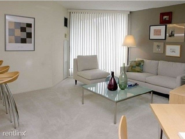 Foto del edificio - 839 N Dearborn St