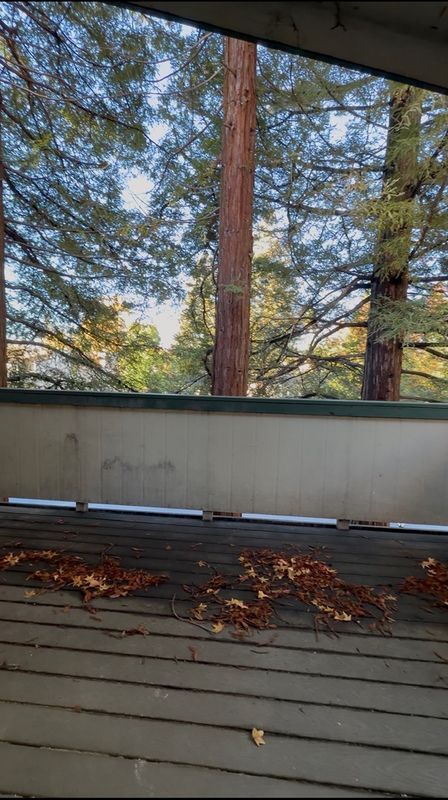 Foto del edificio - 5425 Concord Blvd