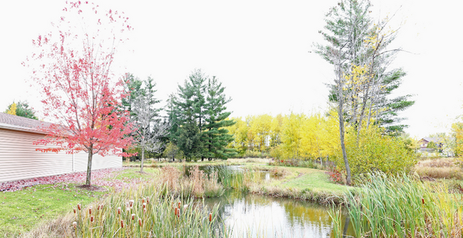 Foto del interior - Bos Creek Estates