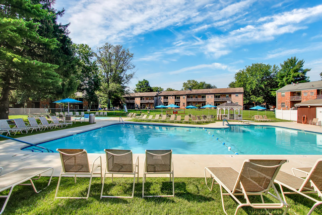 Piscina de natación con guardavidas certificado - Springetts Apartments