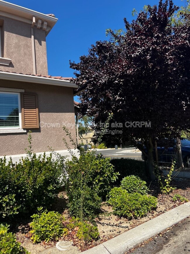 Foto del edificio - 172 W Viola St