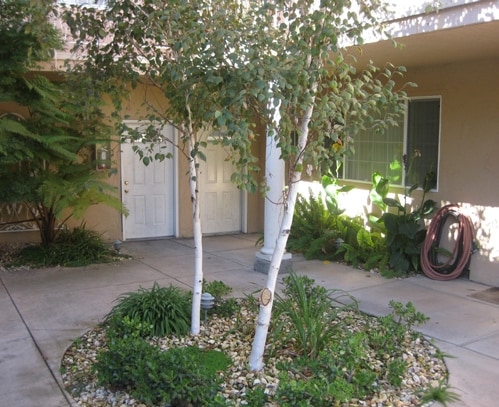 - 2883 Old Almaden Rd