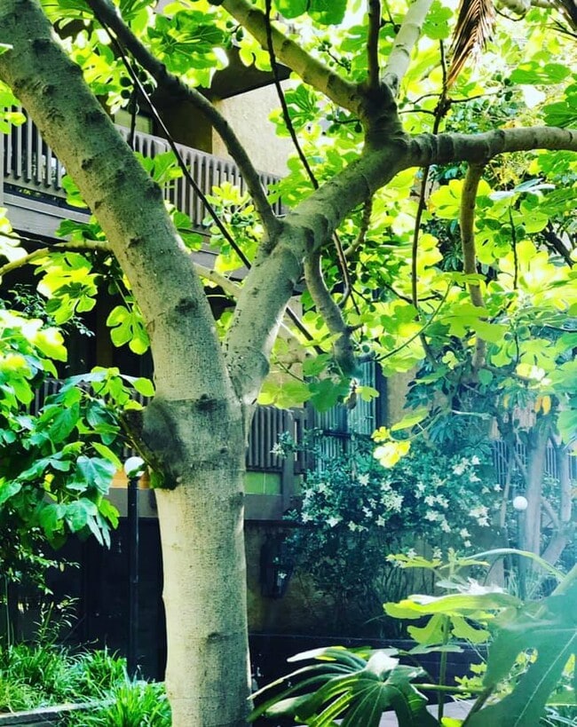 Building Photo - Fair Park Terrace Apartments