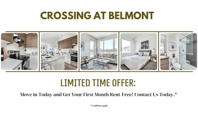 Building Photo - Crossing at Belmont