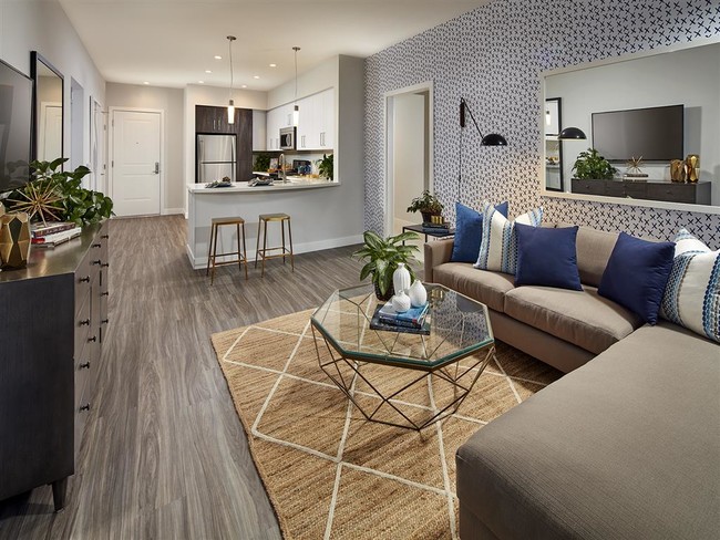 Studio, one, two and three bedroom floor plans - 88 at Alhambra Place