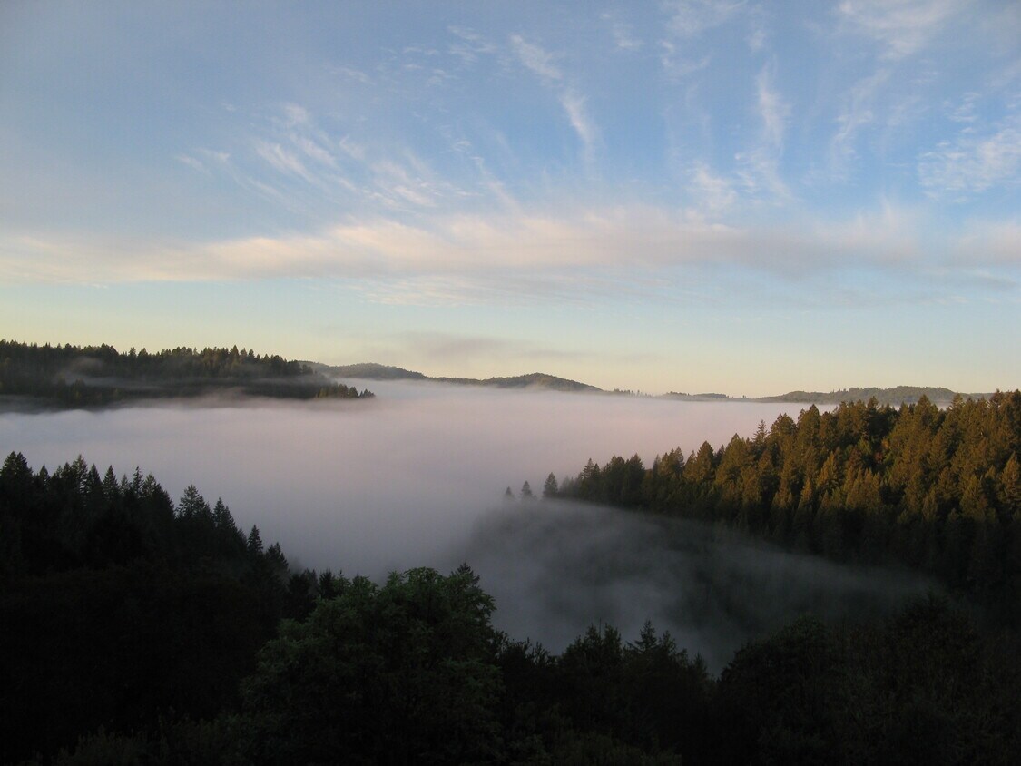Above the Clouds - 11610 Our Peak Rd