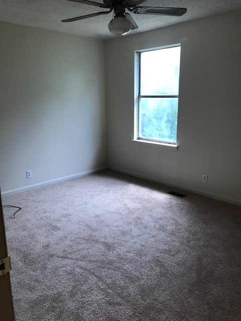 Building Photo - 3613 Willow Creek Ct