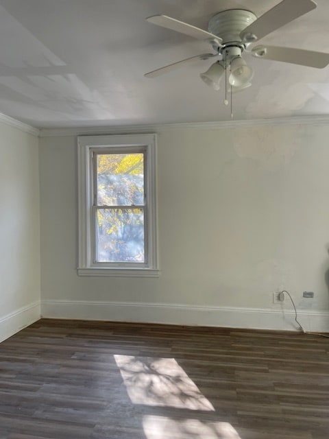 Building Photo - 4039 Gleane St