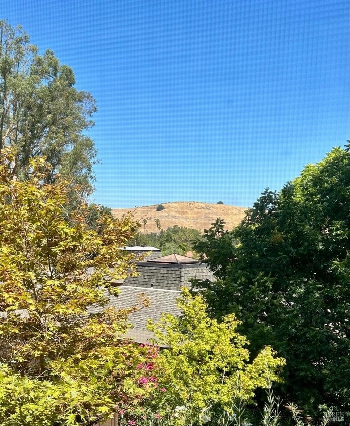 Primary Photo - 9 Forest Ln