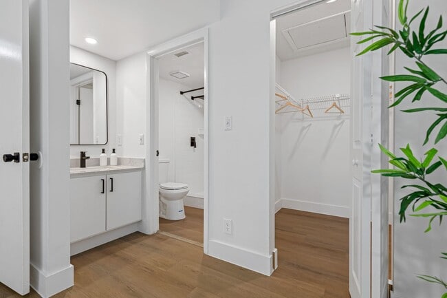 Interior Photo - Circle Sunrise