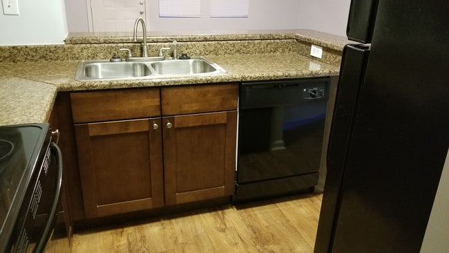 Kitchen - Springlake Apartments