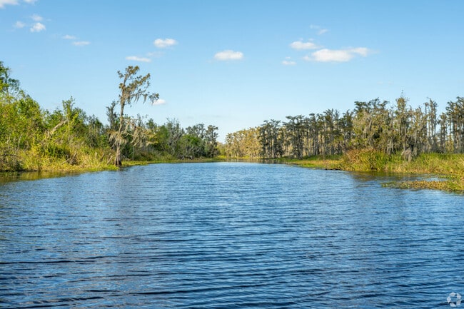 See the swamps Louisiana is known for not far from Houma.