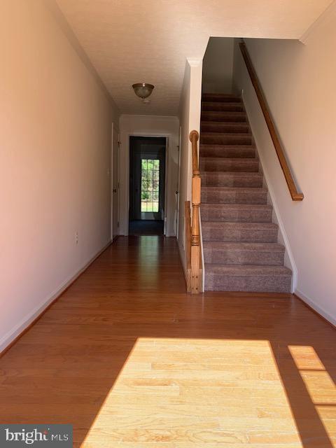 Foto del edificio - 23212 Westwood Ct