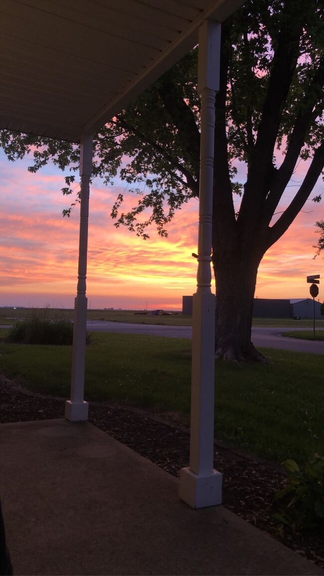Front yard view - 516 W Darby Dr