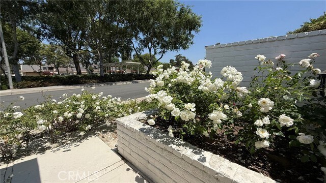 Foto del edificio - 4592 Green Tree Ln