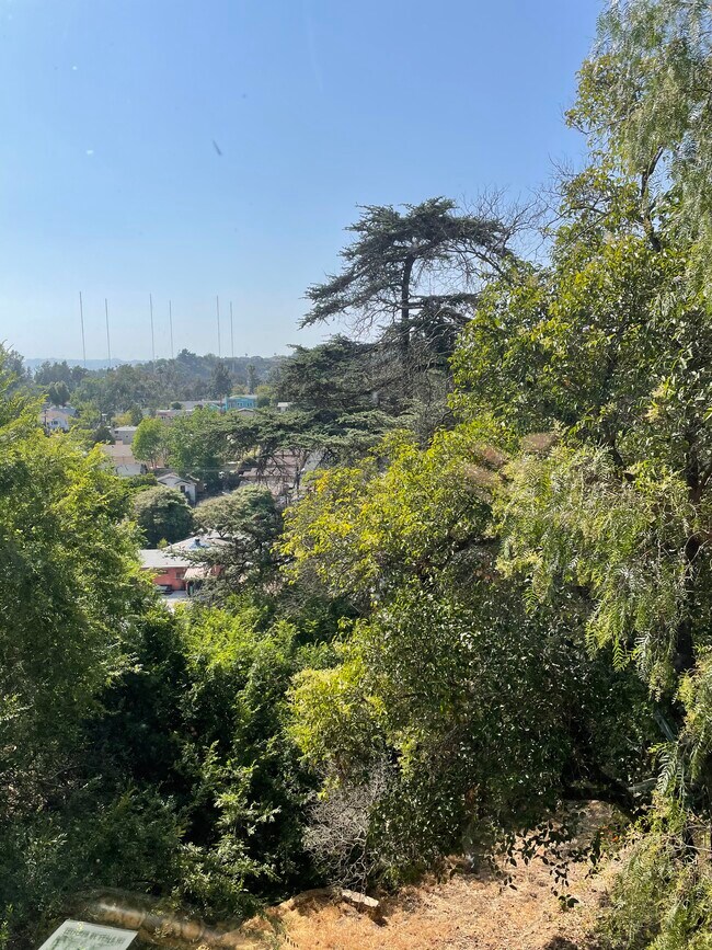 Hillside views - 1811 Lucretia Ave