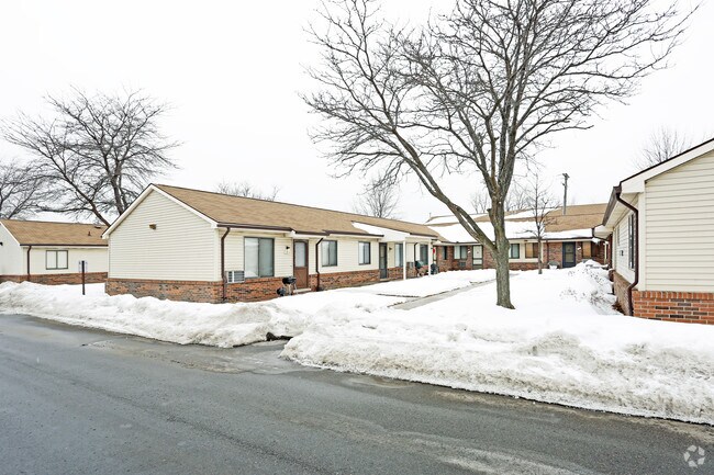 Building Photo - Silver Maple