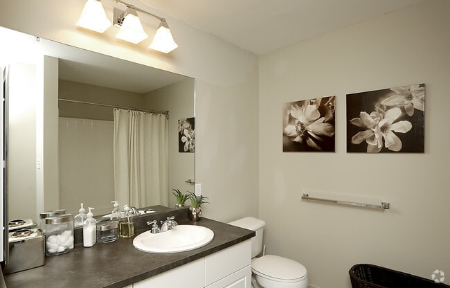 Interior Photo - Sofi Danvers