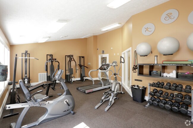 Gimnasio - Eagle Chase