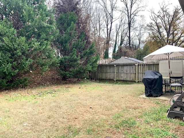 Backyard - 1216 Camellia Ct