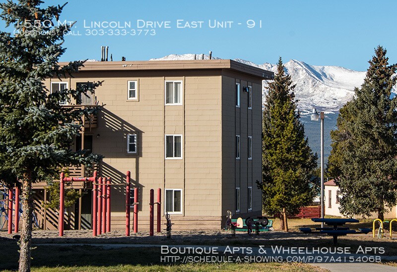 1550 Mt Lincoln Dr E Unit 91, Leadville, CO 80461 Room for Rent in