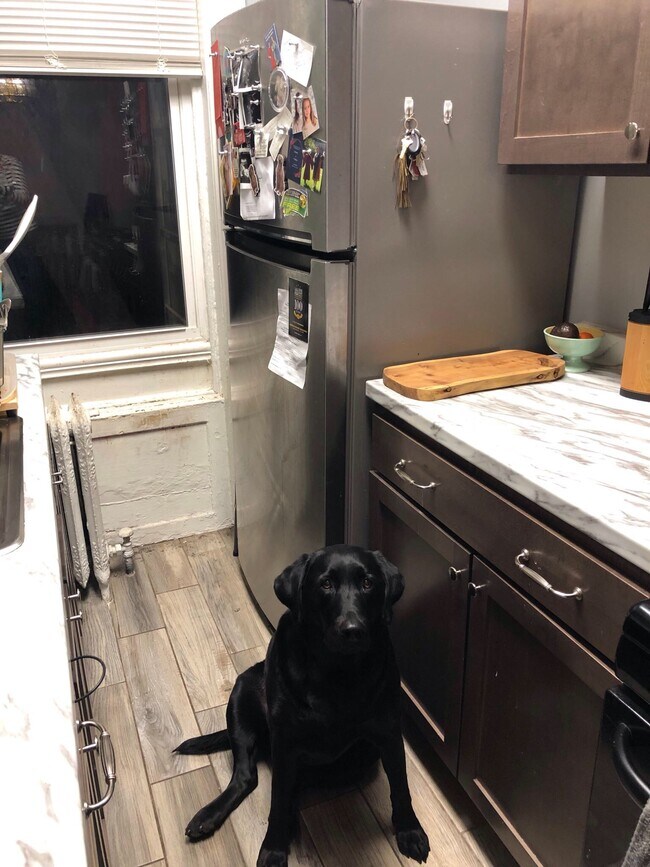 Foto del edificio - 294 Washington Ave