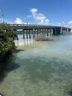 Foto del edificio - 225 S Beach Rd