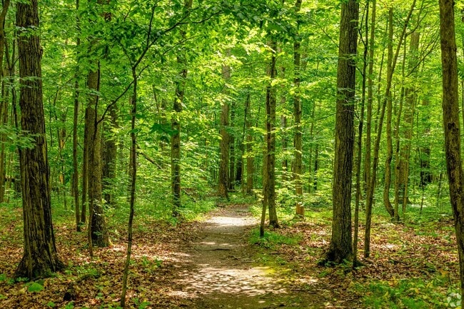 Pittsfield Preserve includes nearly 40 acres of natural wetland.