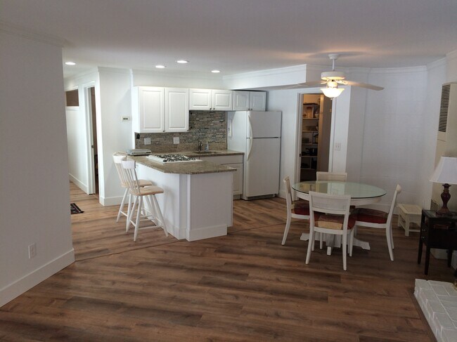 Walk out apt kitchen lower level on a hill apt - 3895 Dorothy Ln