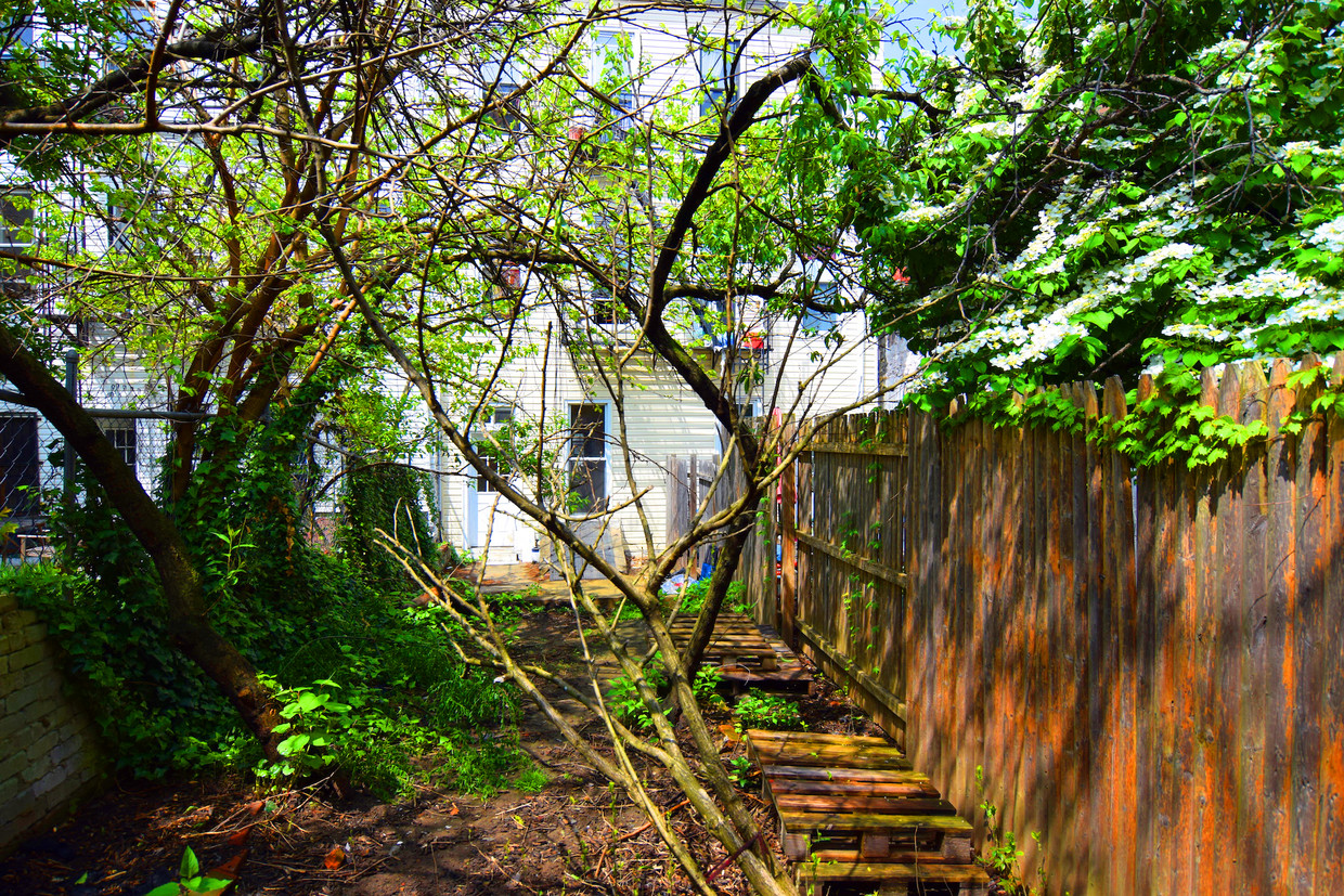 Foto principal - 258 Stagg St