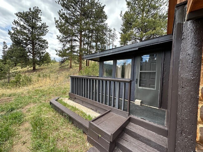 Building Photo - Cabin in Bailey!!