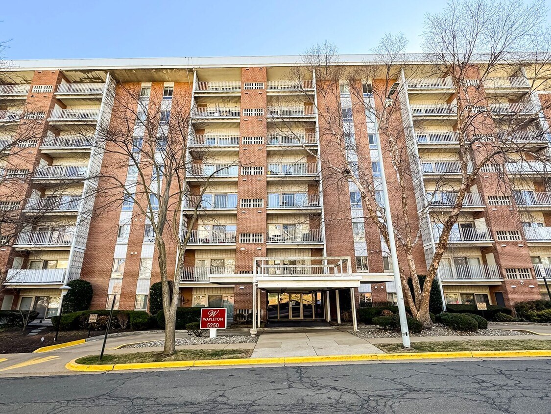 Primary Photo - Sun-filled 2 Bed 1 Bath Condo With Large B...