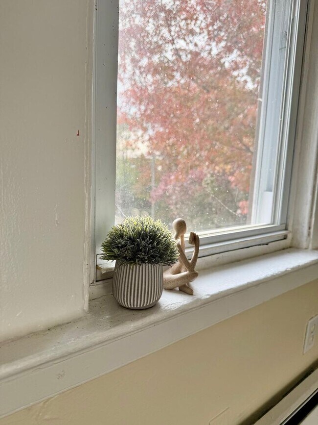 Foto del edificio - 37 Hotchkiss St