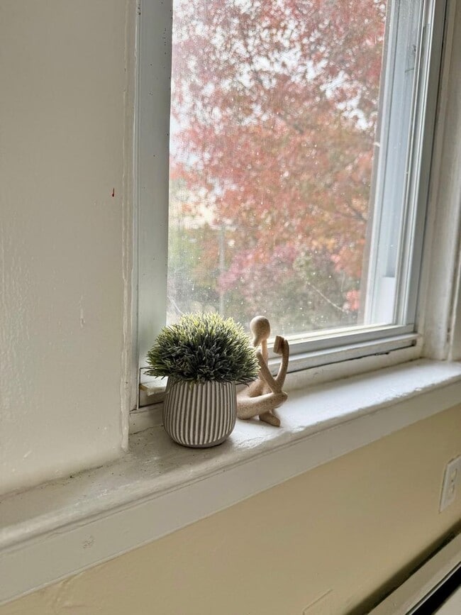 Building Photo - 37 Hotchkiss St