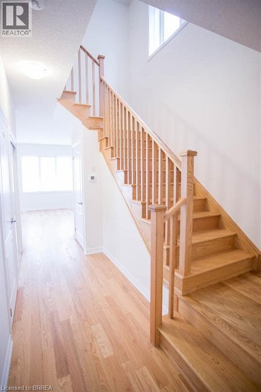 Building Photo - 58 Bellhouse Ave