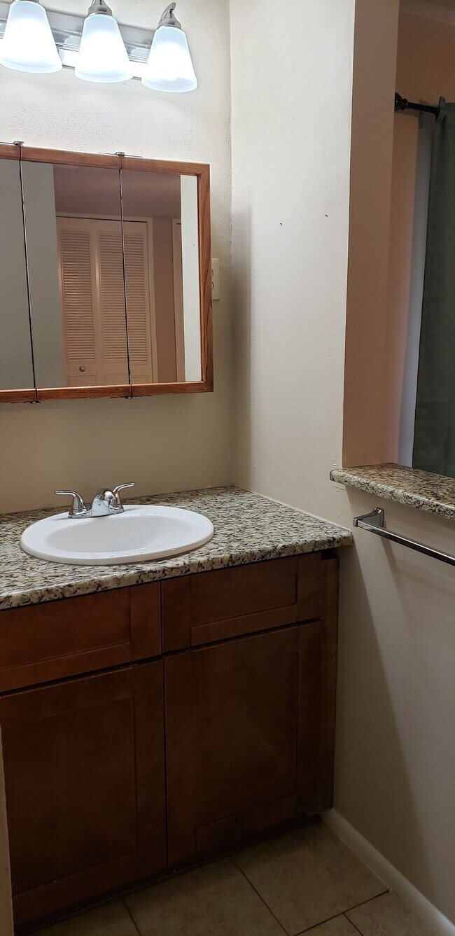 Área del lavabo del baño principal. - 4103 Willow Green Drive