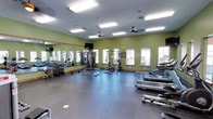 This fitness center is a thoughtfully designed, single-floor facility built to support a full range of workout routines. The room is finished with sage green walls and a durable rubber flooring, creating an energizing yet practical environment for exercise. Large windows line the walls, filling the space with abundant natural light and offering views of the surrounding outdoor area, while ceiling fans help maintain comfortable airflow throughout. A full-length mirror runs along one wall, enhancing the sense of depth and allowing users to monitor their form during workouts. The facility is well-stocked with a comprehensive selection of equipment, including a dumbbell rack with a wide range of free weights, cable and pulley strength machines, squat and power racks with benches, and multiple treadmills. Overhead, recessed fluorescent lighting supplements natural light for consistent illumination at any time of day. A mounted flat-screen television adds entertainment for those longer cardio sessions. The open floor plan provides ample space for movement between equipment, making the facility functional and accessible for users of all fitness levels.