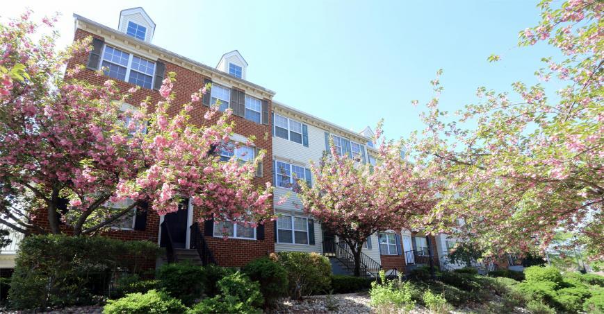 Primary Photo - 1 bedroom in Newark NJ 07103