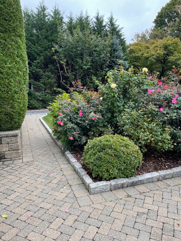 Foto del edificio - 65 Woodland Ave