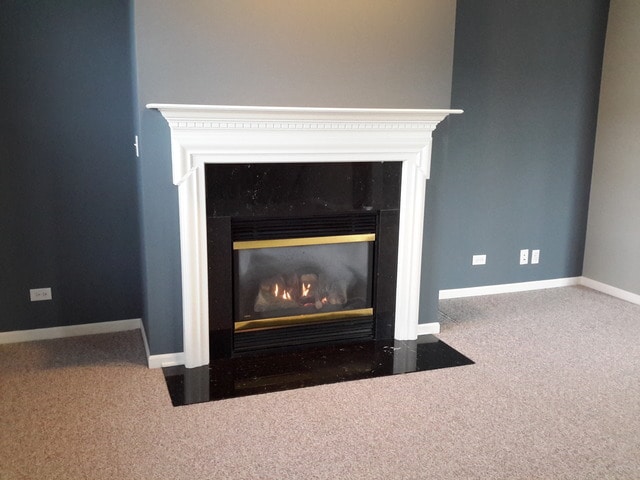 Fireplace - 1347 Scarboro Rd
