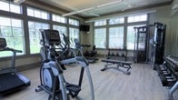 This fitness center is designed to support a comprehensive workout experience within a bright and welcoming environment. Large multi-pane windows line the walls, flooding the space with abundant natural light and offering views of the surrounding greenery, creating an energizing atmosphere for exercise. Ceiling fans are installed overhead to maintain airflow and comfort throughout the room.

The cardio section is well-appointed, featuring multiple elliptical trainers and treadmills, each equipped with individual digital displays for tracking workout metrics. A wall-mounted flat-screen television is positioned for easy viewing during cardio sessions. The strength and free weight area includes a rack of kettlebells in varied weights, a flat utility bench, and a multi-function cable/weight machine, providing versatility for a range of resistance training exercises.

Light hardwood-style flooring runs throughout the space, contributing to a clean and modern aesthetic while remaining practical for fitness use. The overall layout is thoughtfully organized to allow comfortable movement between equipment. The combination of ample natural light, modern equipment, and an open, airy design makes this fitness center a functional and inviting space for daily use.