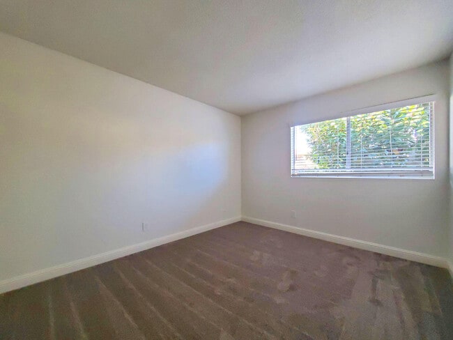 Building Photo - Platinum Luxury Rentals Apartments