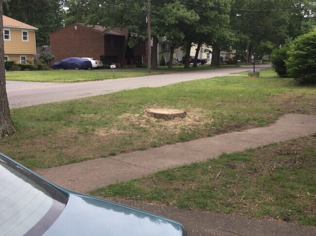 front yard - 35 Custer St