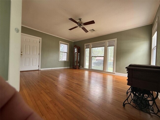 Building Photo - 231 E Live Oak St